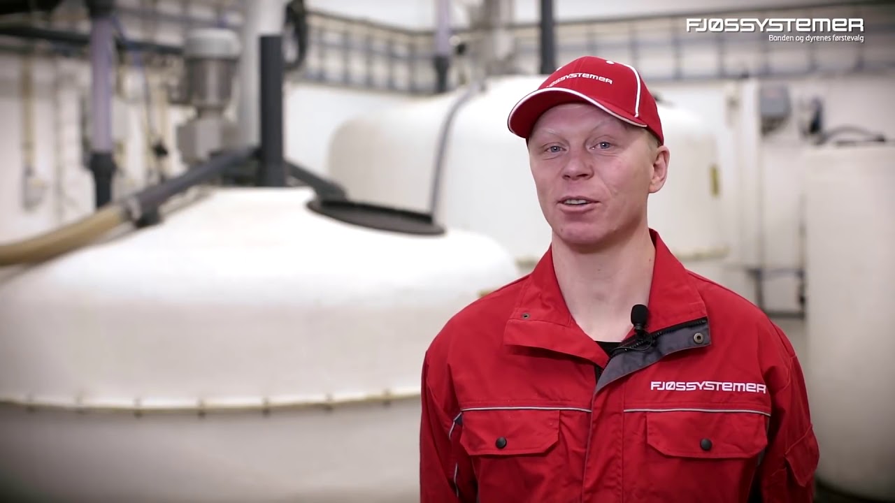 Restløs fôring i grisehuset