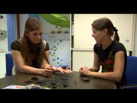 X:enius-Ekel_Arte0912