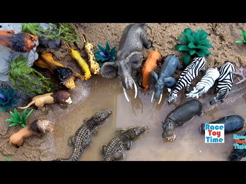 Toy Wild Safari Zoo Animals │Sea Animals Toys Fun Learning Videos For Kids