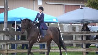 A Day in the Life - NDP Equestrian Team