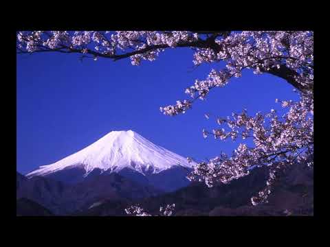 Yung Prajna - Camera ko lagi