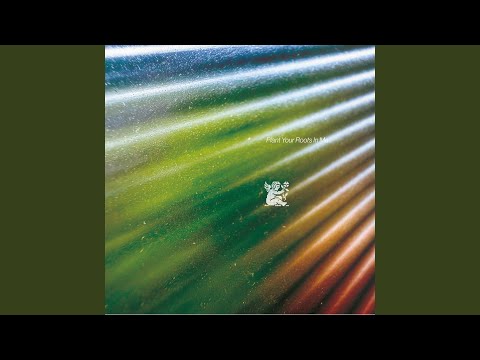 Plant Your Roots In Me