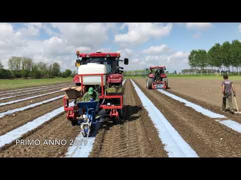 Az. Agr. Solavaggione - Cavallermaggiore (CN)