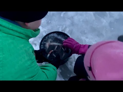 Ämpärillinen Ahvenia Hetkessä - Tyhjät Tunnit On Pilkitty - Kärsivällisyys Palkittiin - Kalakingi