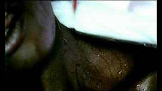Spektrum - 'Sugar Bowl'