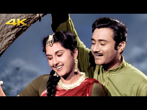 Aayi Jhoomti Bahar 4K Color Song | Insaniyat | Lata Mangeshkar, Talat Mehmood | Dev Anand