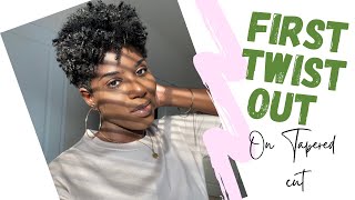 DEFINED TWIST OUT ON TAPERED CUT | BIG CHOP #2 | RUTH NANDA