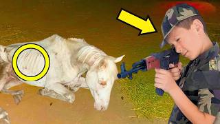 CABALLO ERA MALTRATADO TODOS LOS DÍAS, HASTA QUE UN NIÑO HIZO LO INCREÍBLE.