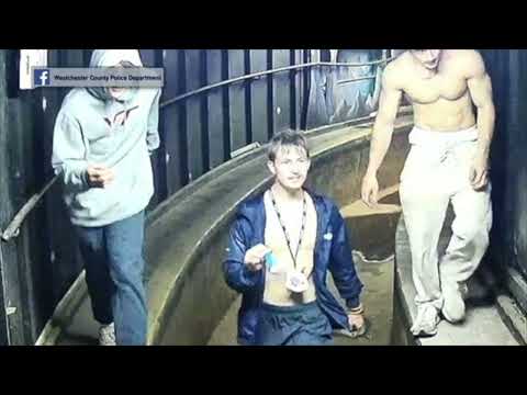 Westchester County Vandalism