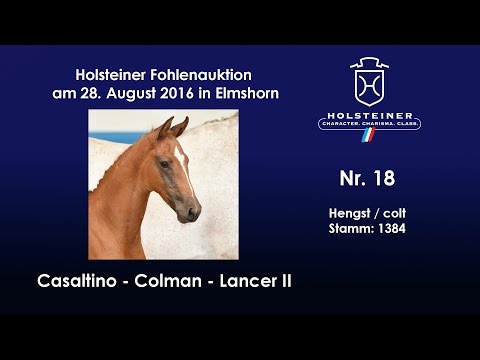 Holsteiner Fohlenauktion 2016 in Elmshorn - Nr. 18 v. Casaltino - Colman