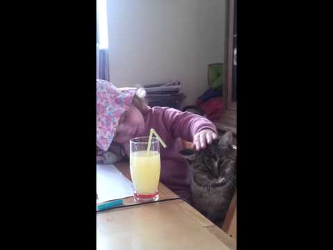 Barbora Kafkova - dite, kocka