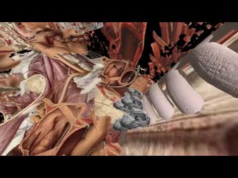 Tilt Brush: "Alien Anatomy II" Preview