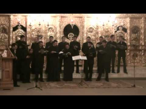 Psalmodia Transylvanica - MuzaFest 2010