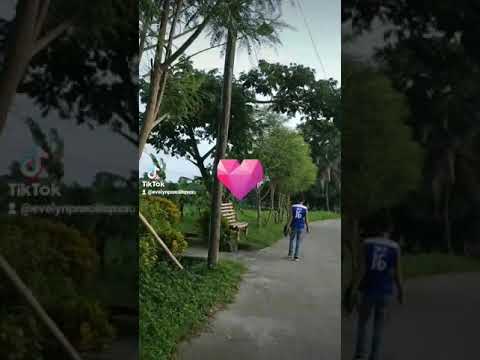 kobe pupunta kmi grace land resort