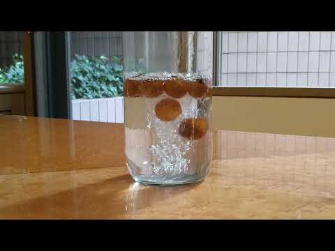 園芸 インドの石鹸メーカー、ソープツリー、ソープナッツ