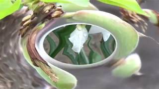 MARK KNOPFLER, 3 times, BLOOD AND WATER + Lyrics below