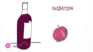 Oxygen Management in Wine