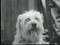 Opening To Billy Madison 1995 Full Length Screening Cassette