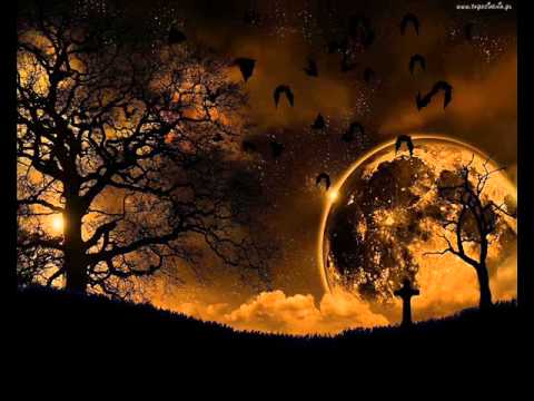 Kędzior feat Kamila Kurek - To tylko sen