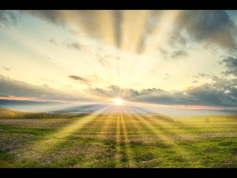 Thomas Kindt - Aufgewacht - 1.1.2021