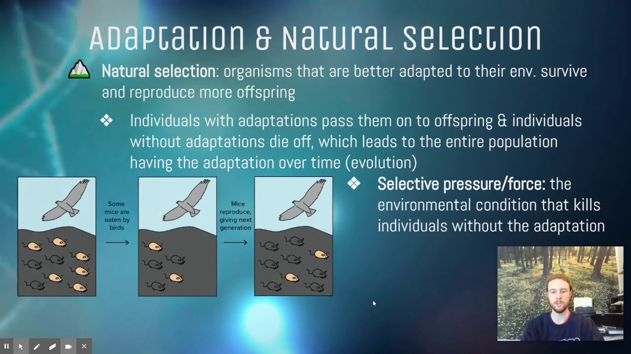 APES Notes 2.6 - Adaptations