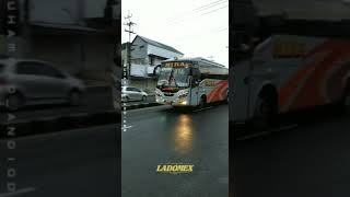 Download lagu STORY WHATSAPP MIRA LADOMEX ON DUTY #mr #busjatim #sugengrahayu #mira #sumberselamat mp3