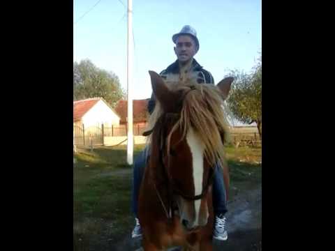 Calu alui sorin din gurba