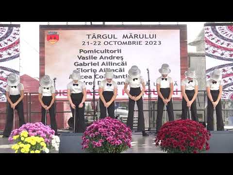 Târgul Mărului 2023 - Spectacol (6)