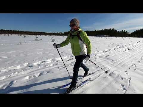 Hiihtelyä Siikanevalla maaliskuu 2021
