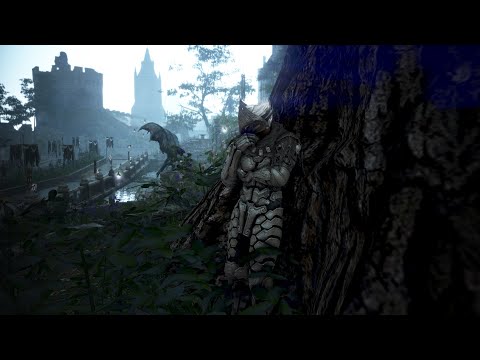 SRF - a musa montage