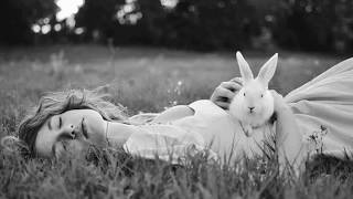 LULLABY _ Assemblage 23