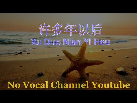 Xu Duo Nian Yi Hou ( 许多年以后 ) Male Karaoke Mandarin - No Vocal