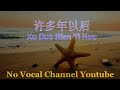 Xu Duo Nian Yi Hou 许多年以后 Male Karaoke Mandarin No Vocal