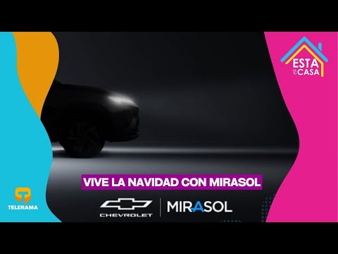Vive la navidad con Mirasol