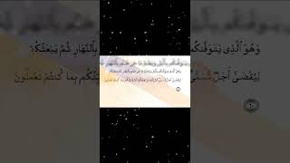 Download lagu Surah Al Anam Ayat 60 mp3