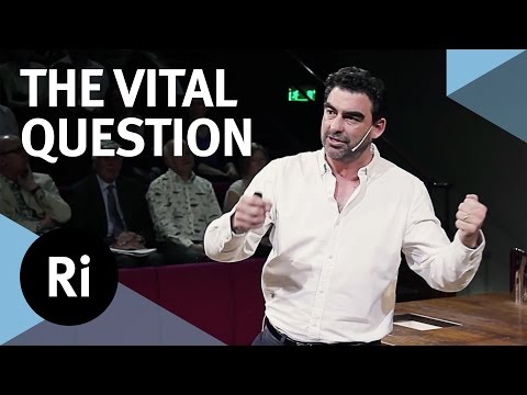 Book Review The Vital Question Energy Evolution And