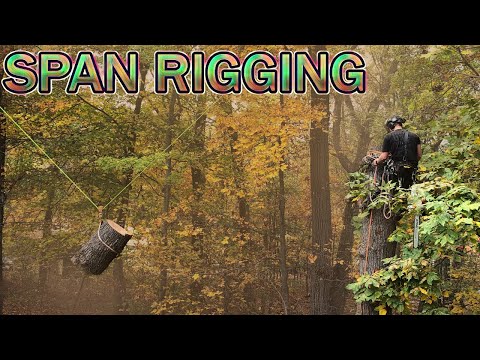 SPAN RIGGING (red oak)