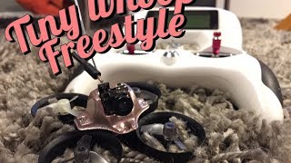 Tiny Whoop Freestyle