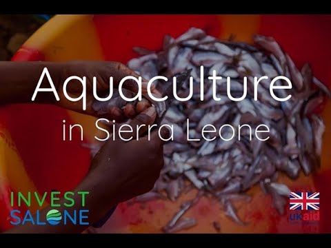 Aquaculture in Sierra Leone