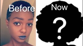 4 Years Post Big Chop! | Asia Char