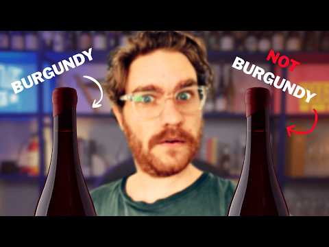 This $90 Aussie Pinot BEATS Burgundy (Blind Tasting)