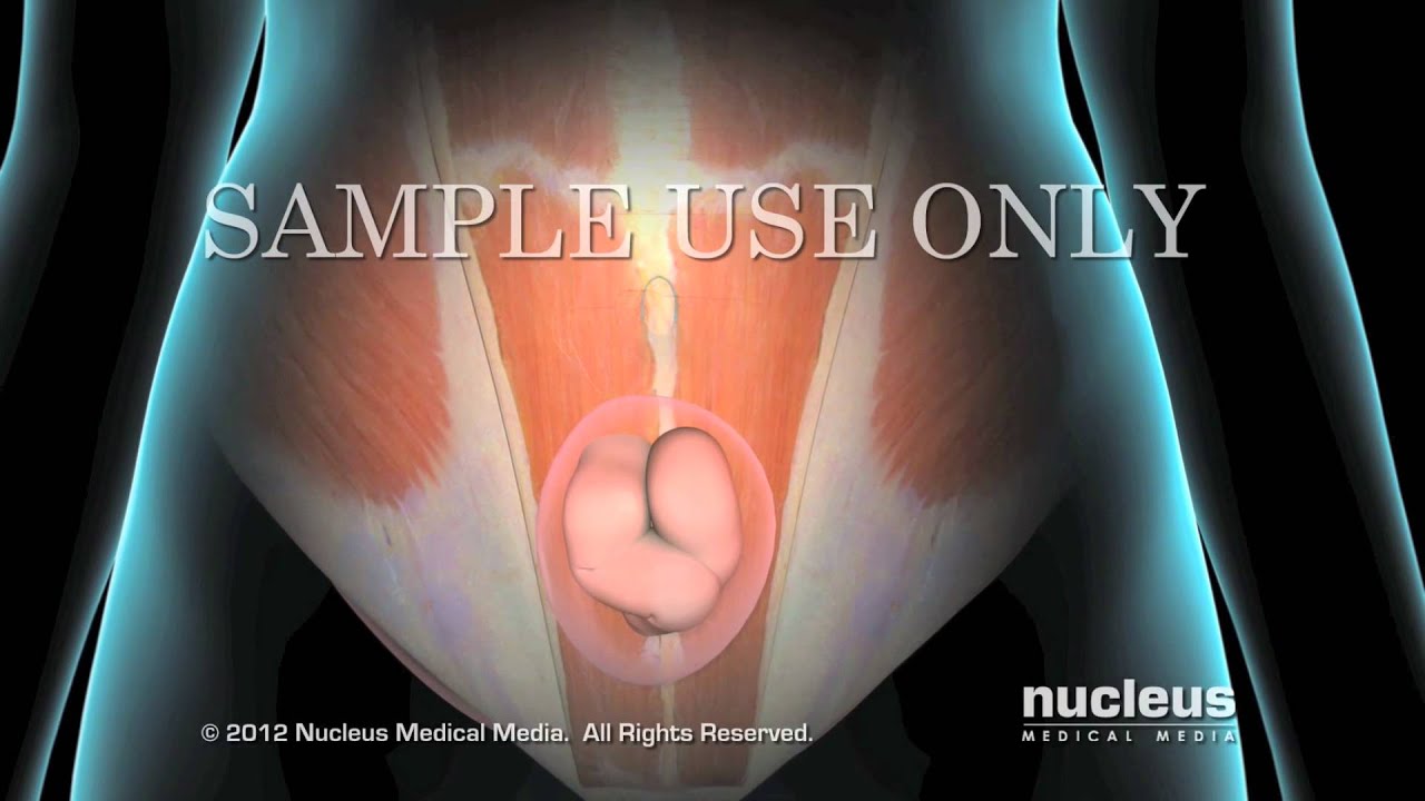 Luis Abraham Zúñiga Vázquez-16