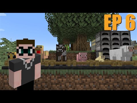New Animal Pen - Ep 6 Vault Hunters 1.18 Magic SMP