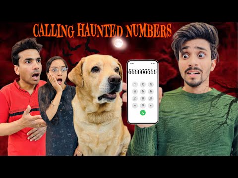 Calling Haunted Numbers At 3:00am | Number Sahi me Mil gya | Anant Rastogi