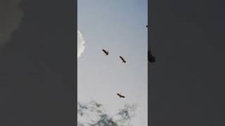 Download lagu Hollywood #dance #newmusic #travel #surfmusicfest #musicgenre #automobile #edms #youtube mp3 Download lagu Hollywood #dance #newmusic #travel #surfmusicfest #musicgenre #automobile #edms #youtube mp3