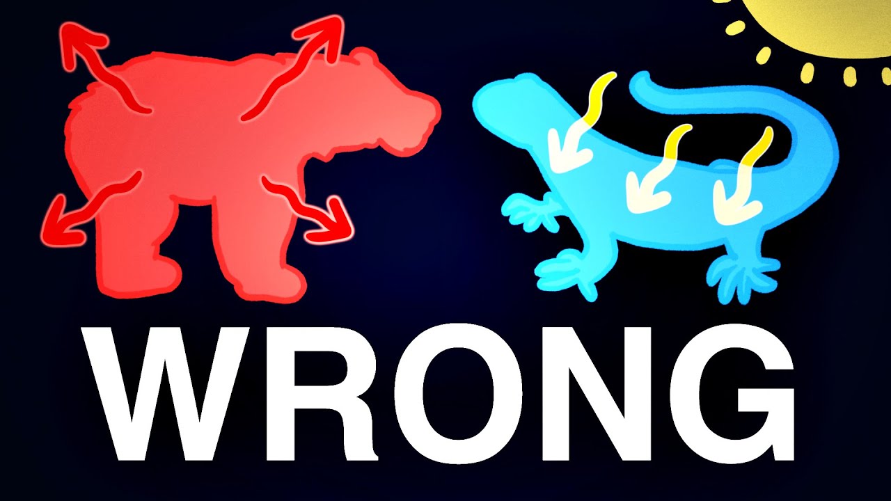 There’s No Such Thing As “Warm-” Or “Cold-” Blooded