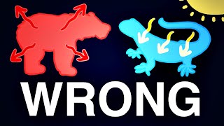 There’s No Such Thing As “Warm-” Or “Cold-” Blooded