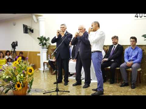 Aceasta lume trista - grup muzicute