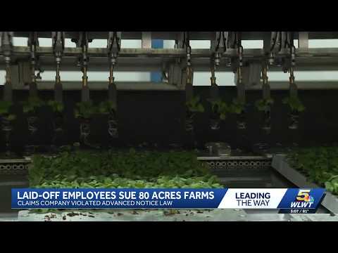 Laid-off employees file class-action lawsuit against 80 Acres Urban Farming in Cincinnati
