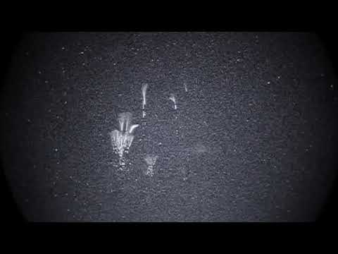 Lightning Sprites at High Speed